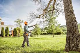 Seasonal Cleanup (Spring/Fall) in Park City, TN